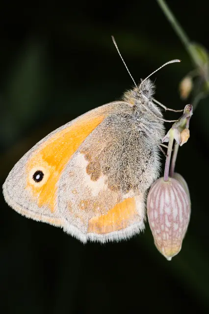 Foto: Yvonne Sperber