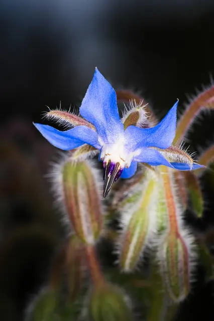 Foto: Yvonne Sperber