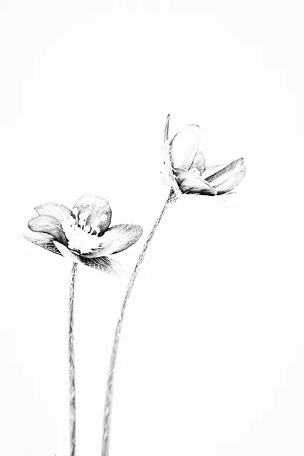 Foto: Britta Springler