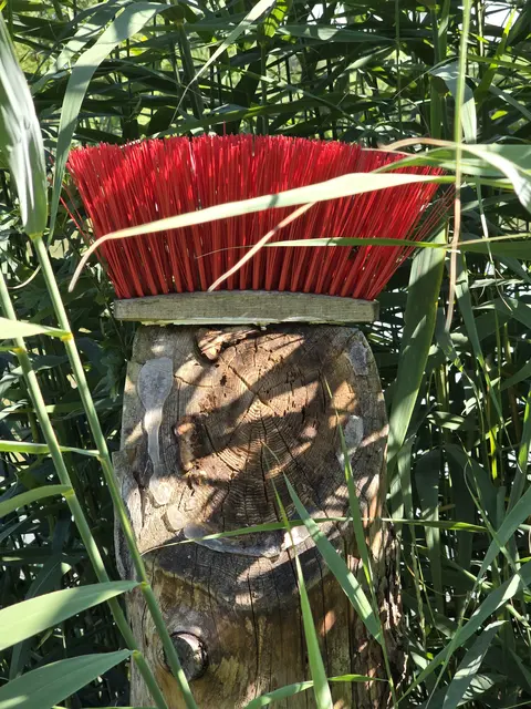 Foto: Michael Schenk