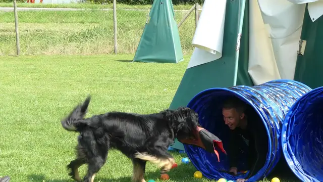 Hoverwart Elea mit Schutzdienst-Helfer Lenne Ahrens | Foto: Urheberin aller Bilder - Elke Wülk