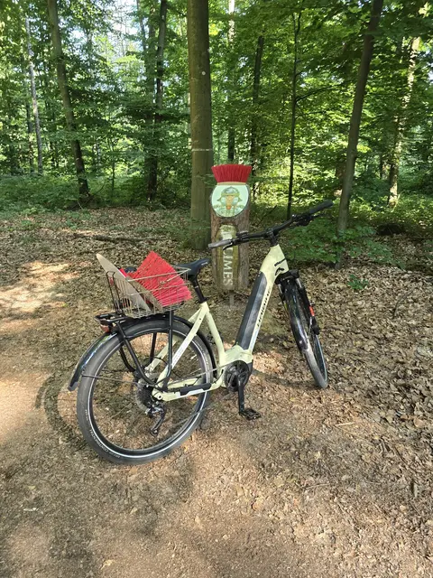 Foto: Michael Schenk