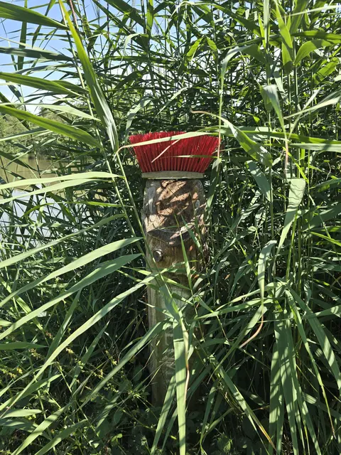 Foto: Michael Schenk