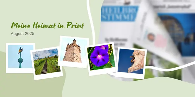 Eine bunte Mischung aus Highlights der Region, Pflanzen und Rätsel um ein Neckarsulmer Wahrzeichen bietet die Meine Heimat-Seite, die am 23. August ist der Zeitung erschienen ist.  | Foto: HSt-Grafik, Elke Pfeiffer, Erwin Weigend, Heide Böllinger, Heidrun Rosenberger, Yvonne Sperber
