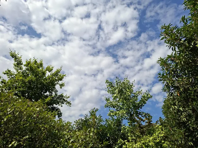 Rund ums Haus | Foto: Ralf Röser