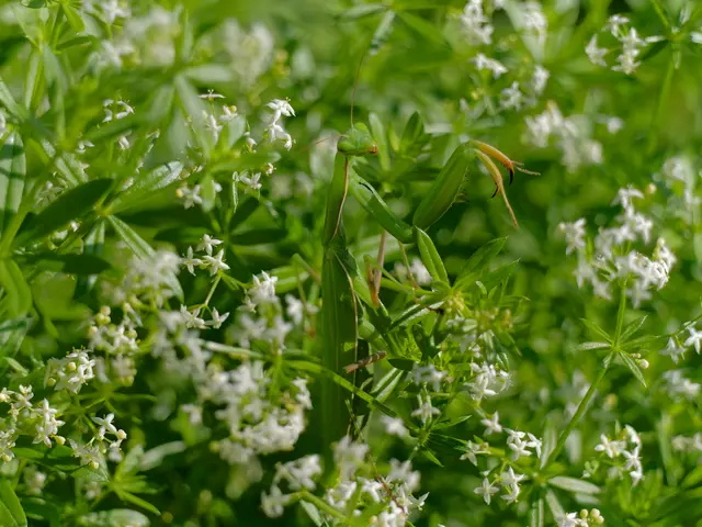 Foto: Eigenes Bild TB