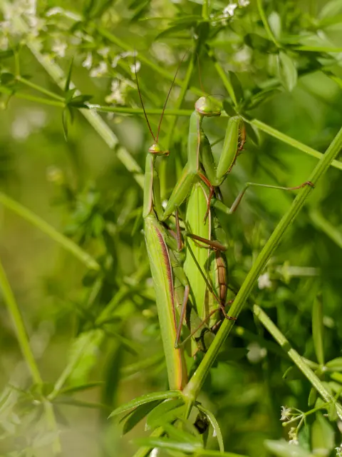 Foto: Eigenes Bild TB