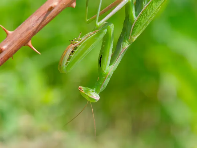 Foto: Eigenes Bild TB