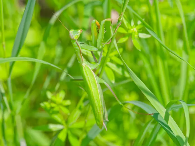 Foto: Eigenes Bild TB