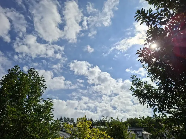 Rund ums Haus | Foto: Ralf Röser