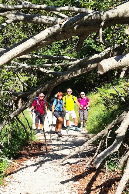 Auf dem Tegernseer Höhenweg. | Foto: Isolde Reitz