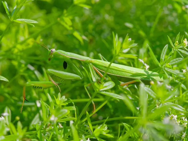 Foto: Eigenes Bild TB