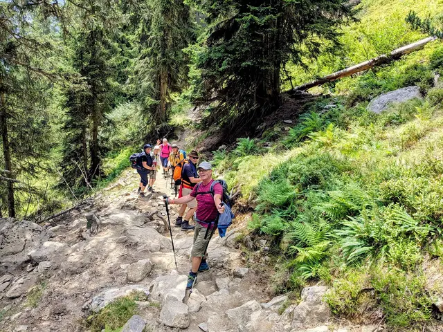 Durch den Mischwald nach Maurach. | Foto: Isolde Reitz