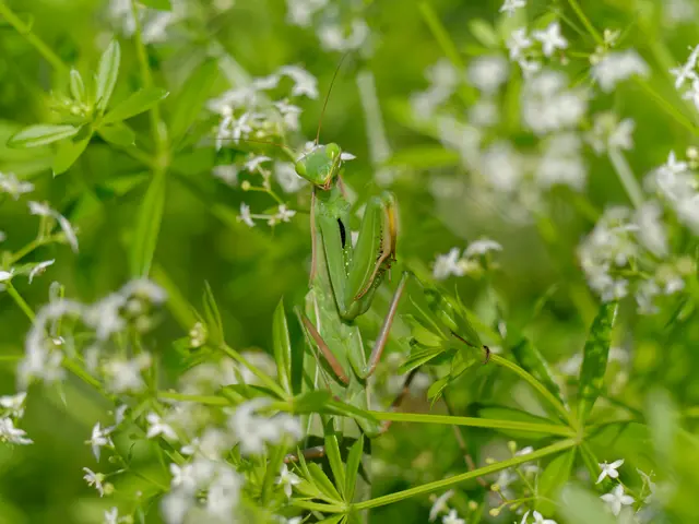 Foto: Eigenes Bild TB