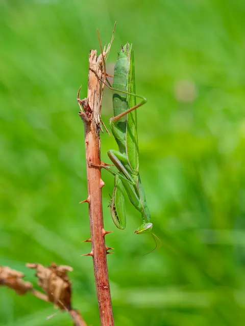 Foto: Eigenes Bild TB