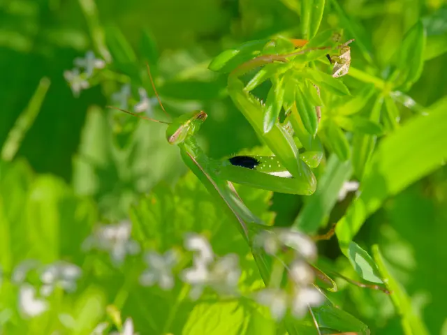 Foto: Eigenes Bild TB