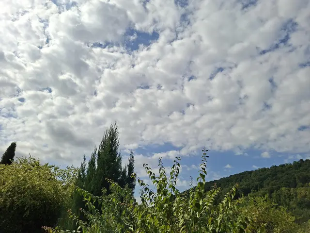 Rund ums Haus | Foto: Ralf Röser