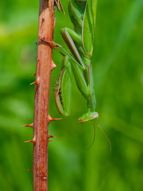 Foto: Eigenes Bild TB