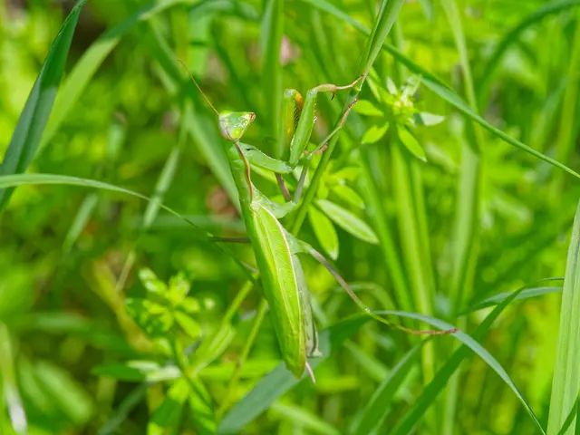 Foto: Eigenes Bild TB