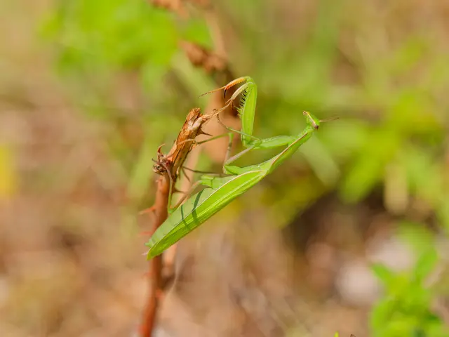 Foto: Eigenes Bild TB