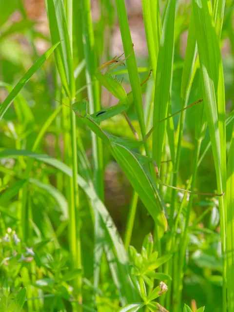 Foto: Eigenes Bild TB