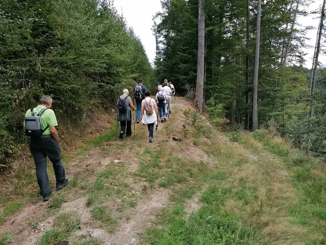 Start zur Wanderung | Foto: Manfred Schaaf