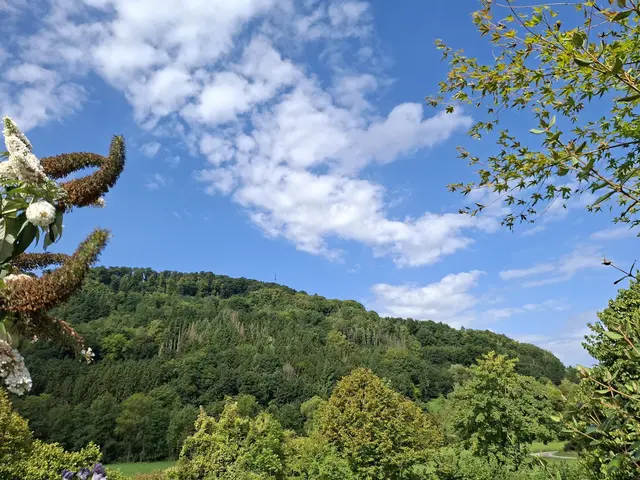 Rund ums Haus | Foto: Ralf Röser