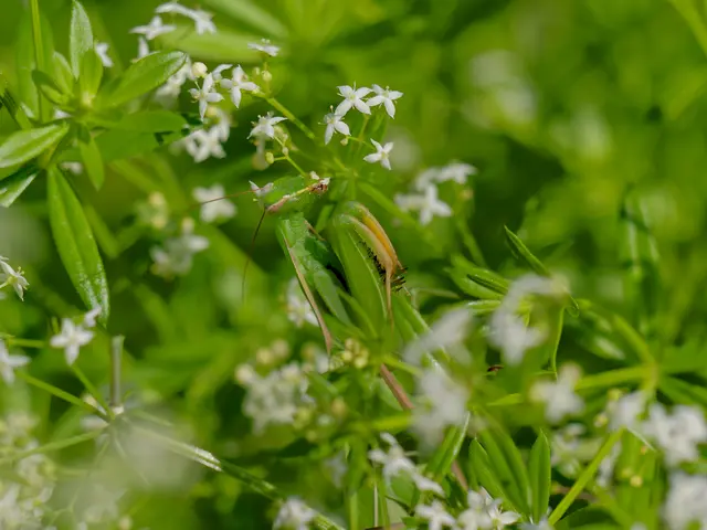 Foto: Eigenes Bild TB