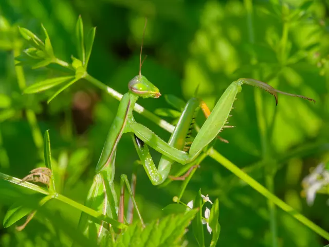 Foto: Eigenes Bild TB