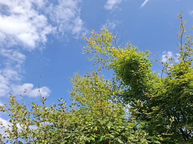 Rund ums Haus | Foto: Ralf Röser