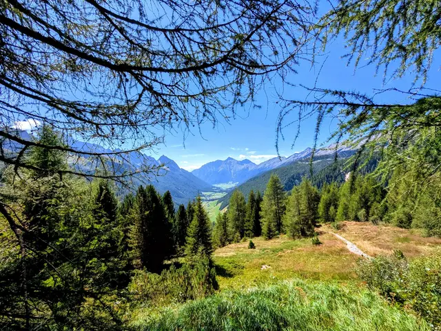 Auf dem Steig zur Blaubergalm. | Foto: Isolde Reitz