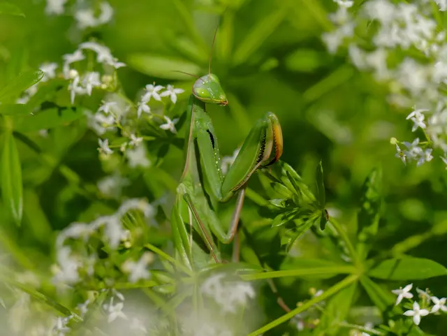 Foto: Eigenes Bild TB