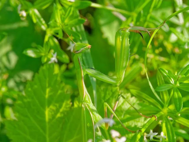 Foto: Eigenes Bild TB