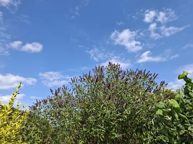 Rund ums Haus | Foto: Ralf Röser