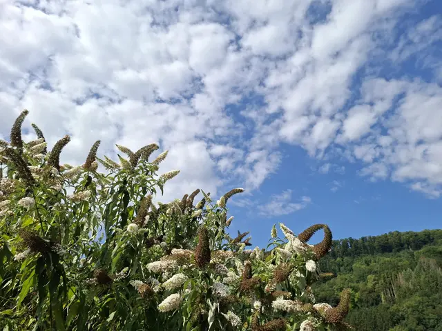 Rund ums Haus | Foto: Ralf Röser