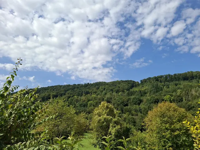 Rund ums Haus | Foto: Ralf Röser