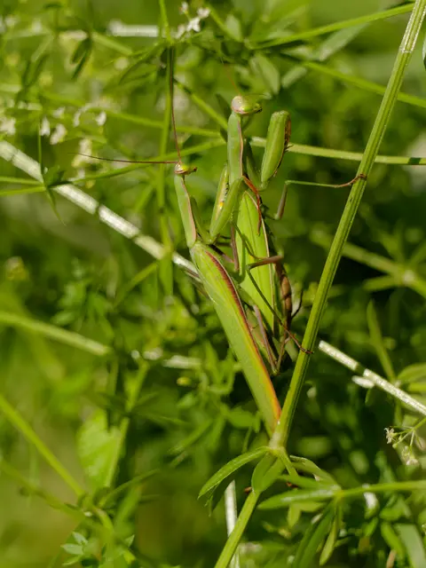 Foto: Eigenes Bild TB