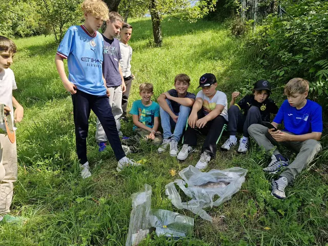 Untersuchung der gefangenen Forellen | Foto: Fischereiverein Leingarten