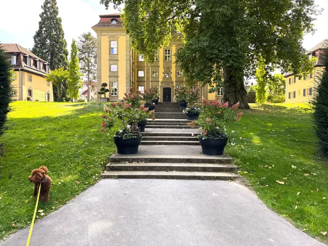 Foto: Heide Böllinger aus Bad Friedrichshall