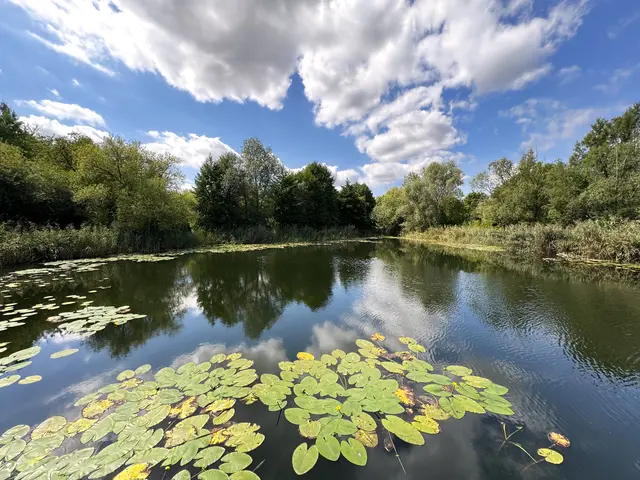 Foto: Heide Böllinger aus Bad Friedrichshall
