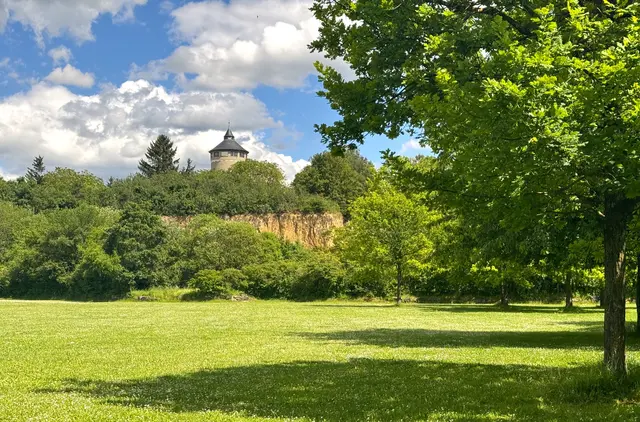 Foto: Heide Böllinger aus Bad Friedrichshall