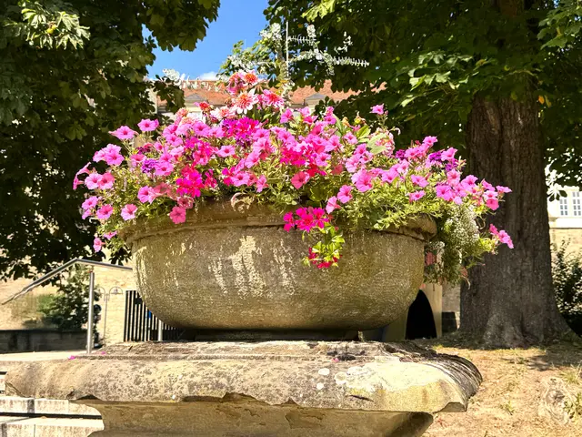 Foto: Heide Böllinger aus Bad Friedrichshall