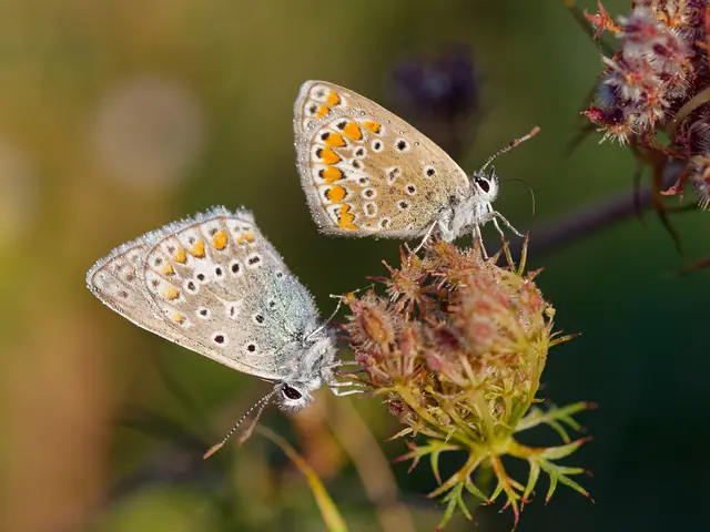 Foto: Eigenes Bild TB