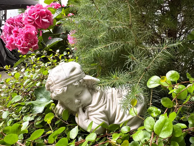 Foto: Heide Böllinger aus Bad Friedrichshall