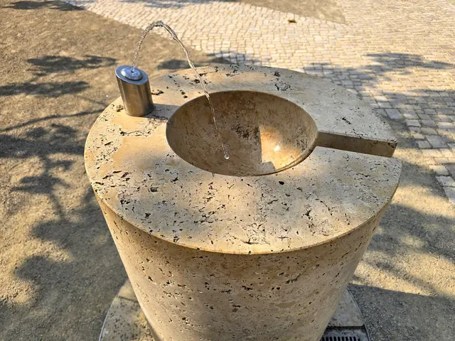 Foto: Heidrun Rosenberger