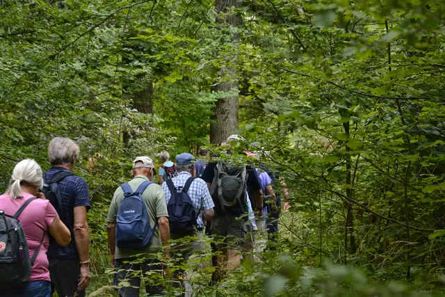 Wanderschlange. | Foto: Michael Harmsen
