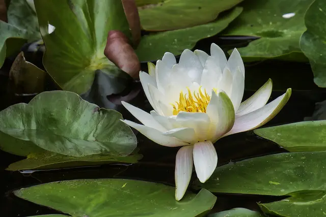 Foto: Michael Harmsen