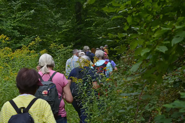 Wanderschlange. | Foto: Michael Harmsen