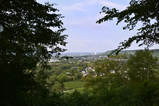 Blick auf Heilbronn, das Kraftwerk und den Wartberg. | Foto: Michael Harmsen