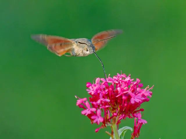 Foto: Eigenes Bild TB